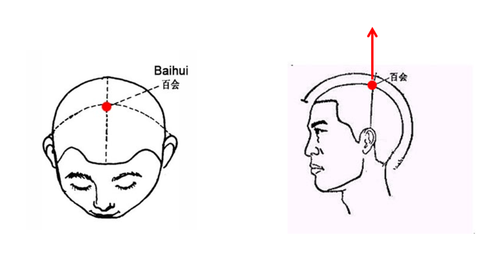 taiji palermo baihui