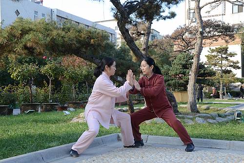 La maestra Chen Peiju pratica il tuishou