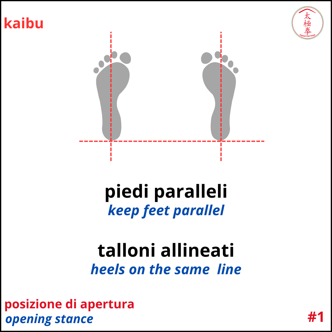 La posizione Kaibu - Nota #1: Mantieni i piedi paralleli ed i talloni allineati. Kaibu Stance - Hint #1: Keep your feet parallel and the heels on the same line.
