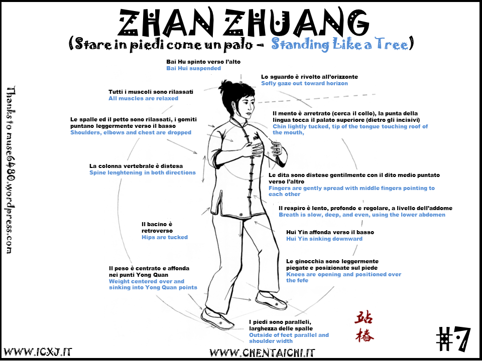 zhan zhuang